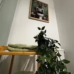 Appartement Hypercentre - Vert&zen - Parking Privé *