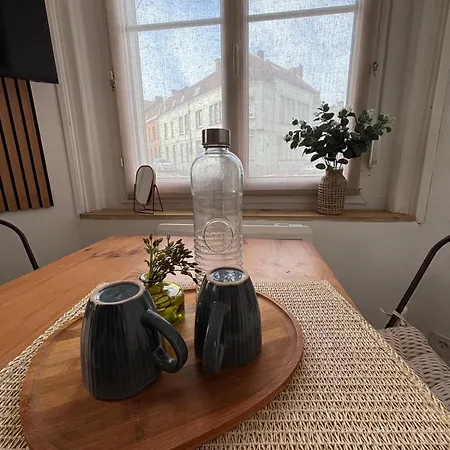 Hypercentre - & Zen - Parking Prive Daire *