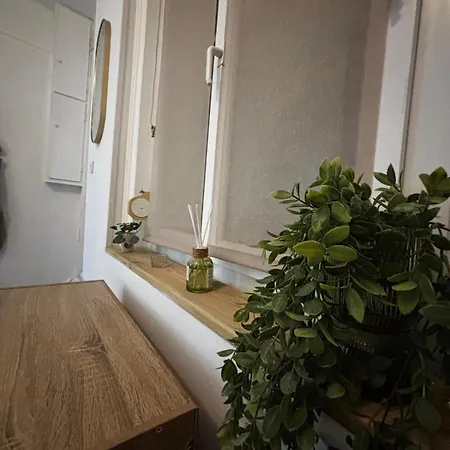 Hypercentre - & Zen - Parking Prive * Bethune