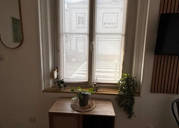 Daire Hypercentre - & Zen - Parking Prive